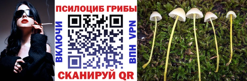 Галлюциногенные грибы MAGIC MUSHROOMS  как найти наркотики  Мариинский Посад 